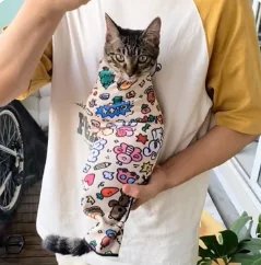 Pet Carrier Bag