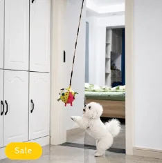 Cat Wall Lick Toy