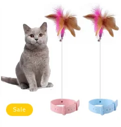 Hanging Teaser Toy